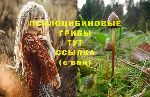 МДПВ Бугульма