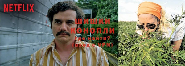 спайс Бородино